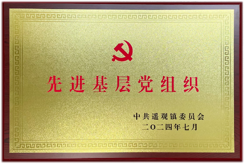 先进基层党组织